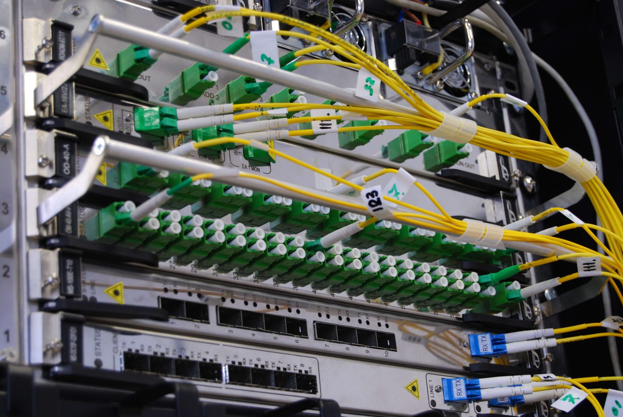 illustración Redes xhost